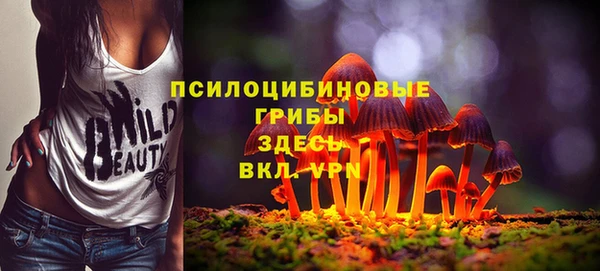 apvp Аркадак