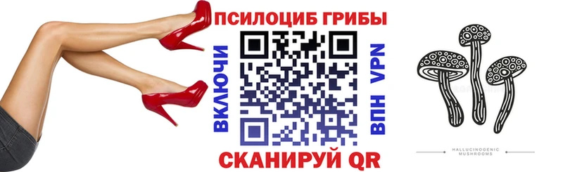 Псилоцибиновые грибы Psilocybe  что такое   KRAKEN tor  Светлогорск 